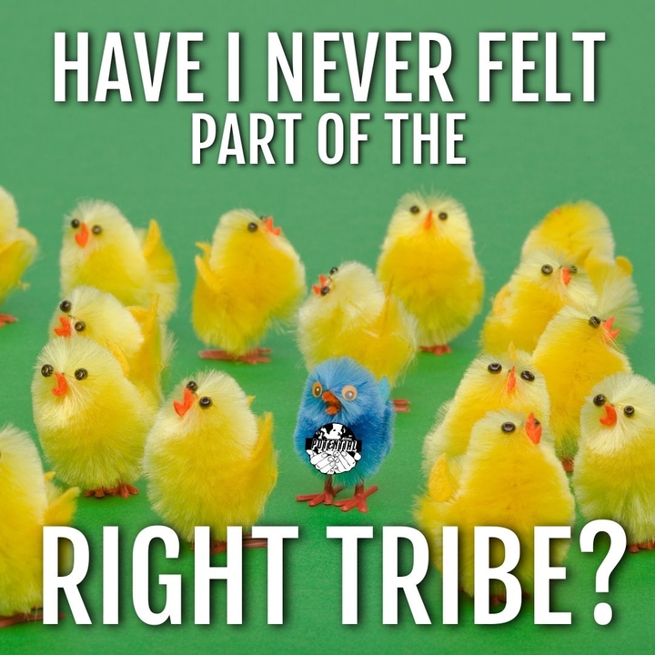 Have I never felt part of the right tribe?