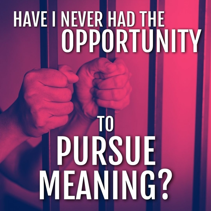 Have I never had the opportunity to pursue meaning?